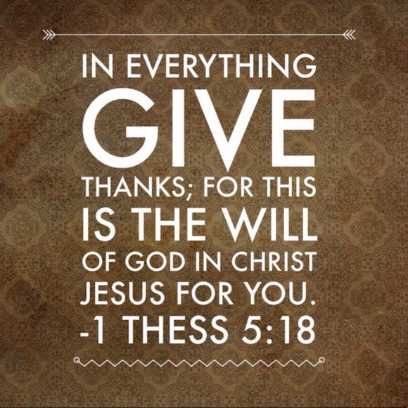 Meet your Posher, Aggiefarms - Picture 5 of 8